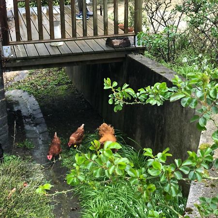 Chambres D'Hotes Manoir Ker-Huella Morlaix Zewnętrze zdjęcie
